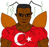 antenna buff chud closed_mouth country ear flag flag:turkiye glasses roach smile soyjak subvariant:chudjak_front subvariant:muscular_chud turk turkiye turkroach variant:chudjak // 1059x1013 // 87.0KB