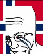 3d animated bloodshot_eyes country crying flag flag:norway glasses norway open_mouth soyjak stubble variant:soyak // 255x320 // 2.3MB