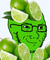 food foodjak fruit glasses green_skin lime smirk smug soyjak stubble variant:soyak // 675x800 // 572.4KB