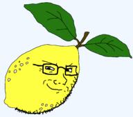 food foodjak fruit glasses leaf lemon smile smug soyjak stubble variant:soyak yellow_skin // 1607x1421 // 41.2KB