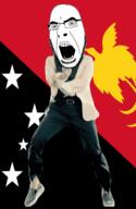 angry animated bird country dance flag flag:papua_new_guineaua full_body gangnam_style glasses irl open_mouth papua_new_guinea raggiana_bird_of_paradise soyjak star stubble variant:cobson // 300x460 // 506.9KB