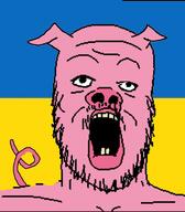 animal country ear flag glasses mustache open_mouth pig pink_skin snout soyjak stubble tail ukraine variant:a24_slowburn_soyjak // 1242x1421 // 154.4KB