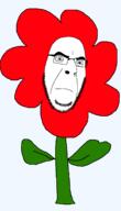 angry flower glasses plant sad soyjak stubble variant:cobson // 1250x2182 // 48.9KB