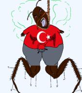 angry bloodshot_eyes bug cockroach country crying flag flag:turkiye hanging open_mouth rope soyjak tongue turkiye variant:bernd yellow_teeth // 619x703 // 57.8KB