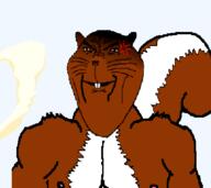 anger_mark animal animated buck_teeth buff cum ear smile smug soyjak squirrel subvariant:ominous_impish_squirrel tail variant:impish_soyak_ears // 448x400 // 250.6KB