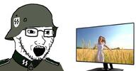 clothes collar_tabs combat_helmet computer epaulettes field girl glasses hat helmet military military_uniform nazism open_mouth schutzstaffel screen soyjak stubble uniform variant:soyak // 1024x535 // 47.4KB