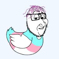 bird duck glasses purple_hair smile smug soyjak stubble subvariant:smugquack tranny variant:smugjak // 862x851 // 25.8KB