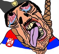 bird bloodshot_eyes cap clothes communism country crying eagle flag flag:serbia hair hanging hat logo open_mouth patch rope serbia socialism soyjak star stubble subvariant:brunetto symbol text tongue variant:bernd white_skin yellow_teeth yugoslavia // 485x450 // 249.7KB