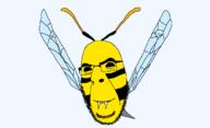 animated antenna bug glasses smile soyjak stubble variant:cobson wasp wing // 1200x731 // 175.0KB