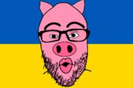 animal ear flag glasses open_mouth pig pink_skin snout soyjak stubble ukraine variant:nojak // 1280x853 // 51.7KB