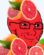 food foodjak fruit glasses grapefruit pink_skin smirk smug soyjak stubble variant:soyak // 644x800 // 2.0MB