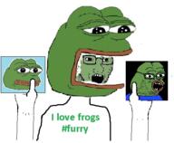 arm clothes frog furry glasses green_skin hand hat holding_object open_mouth pepe soyjak stubble text variant:soyak // 483x398 // 178.0KB