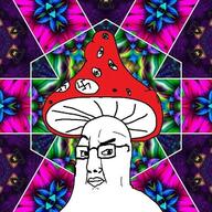 flower glasses kaleidoscope mushroom plant psychedelic soyjak suspicious swastika variant:chudjak // 640x640 // 128.6KB