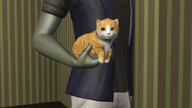 animal arm cat clothes glasses grey_skin hand holding_object leg open_mouth shorts soot soot_colors soyjak_party stubble the_sims tshirt video_game yellow_skin // 1600x896 // 577.6KB