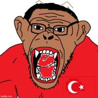 antenna black_skin clothes cockroach country flag flag:turkiye glasses hair open_mouth soyjak stubble turkiye variant:monkeyjak // 500x500 // 236.9KB