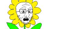 flower flowey glasses oekaki open_mouth plant soyjak stubble undertale variant:soyak video_game // 500x250 // 23.2KB