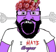 beard clothes food foodjak fruit fume glasses grape hat i_hate open_mouth purple_skin smoke soyjak subvariant:science_lover text tshirt variant:markiplier_soyjak // 427x400 // 112.0KB