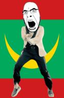 angry animated country crescent dance flag flag:mauritania full_body gangnam_style glasses irl mauritania open_mouth soyjak star_and_crescent stubble variant:cobson // 300x460 // 502.1KB