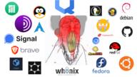 arch_linux blood bloodshot_eyes brave_browser chromium clenched_teeth debian duckduckgo fedora_linux flatpak fume github glasses graphene_os linux mullvad nosebleed qubes_os red_eyes red_face signal soyjak stubble subvariant:feralrage technology ubuntu variant:feraljak vein wayland whonix yellow_teeth // 1920x1080 // 683.2KB