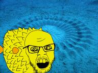 animal fish glasses irl_background no_eyebrows puffer_fish sand soyjak stubble variant:feraljak // 1000x750 // 1.4MB