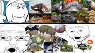 3soyjaks animal axolotl blanket blobfish capybara dust_mite frog glasses honey_badger i_fucking_love_science irl logo mustache open_mouth platypus reddit sleeping smile soyjak stubble subvariant:wholesome_soyjak variant:gapejak variant:two_pointing_soyjaks // 1920x1080 // 2.3MB