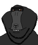 animal gorilla grey_skin red_eyes smile soyjak stubble variant:impish_soyak_ears // 572x666 // 44.9KB