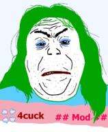 4chan angry clothes flag green_hair hair janny makeup soyjak stubble tranny variant:alicia // 592x720 // 37.6KB