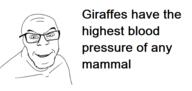 factjak giraffe smile smug soyjak text variant:feraljak // 580x274 // 34.8KB