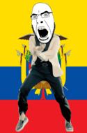 angry animated country dance eagle ecuador fasces flag flag:ecuador full_body gangnam_style glasses irl open_mouth soyjak stubble variant:cobson // 300x460 // 496.5KB