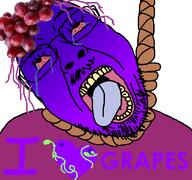 bloodshot_eyes clothes crying dead food foodjak fruit glasses gradient grape hair hanging hat heart i_love open_mouth purple_hair purple_skin rope soyjak stubble suicide text tongue variant:bernd yellow_teeth // 768x719 // 179.4KB