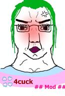 4chan anger_mark angry clothes flag glasses green_hair hair makeup red_face soyjak subvariant:chudjak_front tranny variant:chudjak // 490x720 // 152.2KB