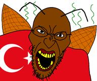 country flag flag:turkiye glasses open_mouth roach soyjak star_(symbol) star_and_crescent stubble turkiye turkroach variant:angry_soyjak // 1600x1340 // 121.8KB