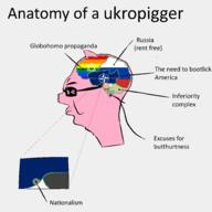 anatomy animal brain closed_mouth country ear flag glasses judaism lgbt monkey_putin nati nato pig pink_skin russia russo_ukrainian_war side_profile soyjak star_of_david text ukraine united_states variant:chudjak vladimir_putin // 2000x2000 // 155.9KB